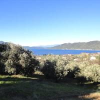 Land plot in Greece, 4000 sq.m.