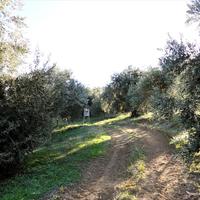 Land plot in Greece, 4000 sq.m.