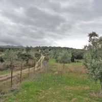 Land plot in Greece, 4000 sq.m.