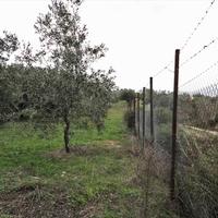 Land plot in Greece, 4000 sq.m.