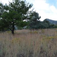 Земельный участок в Греции, 680 кв.м.