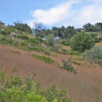 Земельный участок в Греции, 680 кв.м.