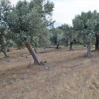 Земельный участок в Греции, 680 кв.м.