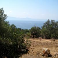 Земельный участок в Греции, 7000 кв.м.
