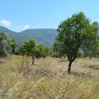 Земельный участок в Греции, 22000 кв.м.