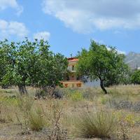 Земельный участок в Греции, 22000 кв.м.