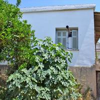 Другое в Греции, 100 кв.м.