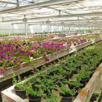 Бизнес-центр в Греции, 4800 кв.м.