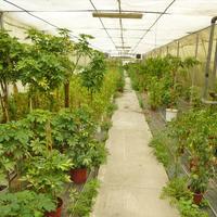 Бизнес-центр в Греции, 4800 кв.м.