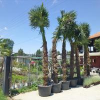 Бизнес-центр в Греции, 4800 кв.м.