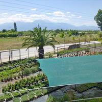 Бизнес-центр в Греции, 4800 кв.м.