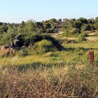 Land plot in Greece