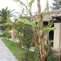 Отель (гостиница) в Греции, 900 кв.м.