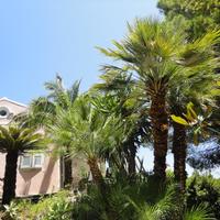 Другое в Греции, 180 кв.м.