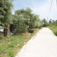 Land plot in Greece