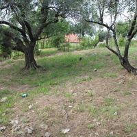 Land plot in Greece