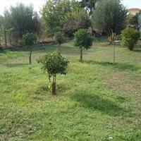 Другое в Греции, 175 кв.м.