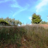 Земельный участок в Греции