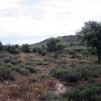 Land plot in Greece