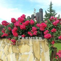 Flat in Bulgaria, Sveti Vlas, 58 sq.m.