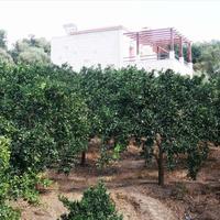 Villa in Greece, 190 sq.m.