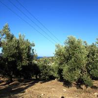 Land plot in Greece