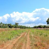 Земельный участок в Греции, 12000 кв.м.