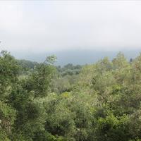 Земельный участок в Греции