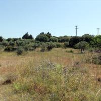 Land plot in Greece, 4075 sq.m.