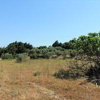 Land plot in Greece, 4075 sq.m.