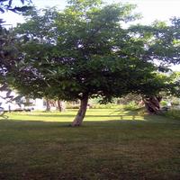 Земельный участок в Греции