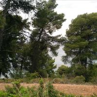 Земельный участок в Греции