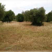 Земельный участок в Греции