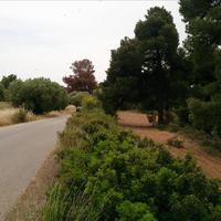 Земельный участок в Греции