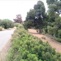 Земельный участок в Греции