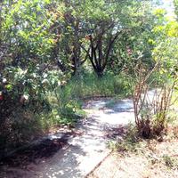 Другое в Греции, 200 кв.м.