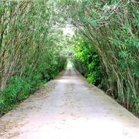 Вилла в Греции, 300 кв.м.