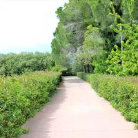 Вилла в Греции, 300 кв.м.