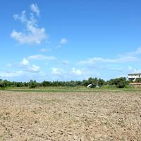 Земельный участок в Греции, 12200 кв.м.