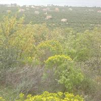 Земельный участок в Греции