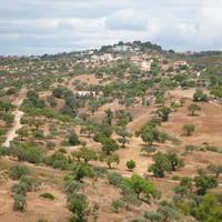 Земельный участок в Греции, 6000 кв.м.