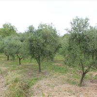 Земельный участок в Греции