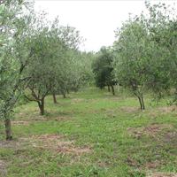 Земельный участок в Греции