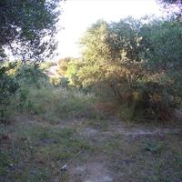 Земельный участок в Греции, 6078 кв.м.