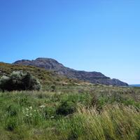 Земельный участок в Греции, 1965 кв.м.