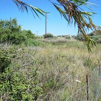 Земельный участок в Греции, 1965 кв.м.