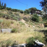 Земельный участок в Греции, 1700 кв.м.