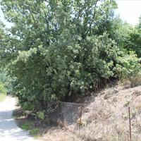 Land plot in Greece