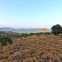 Land plot in Greece, 4200 sq.m.