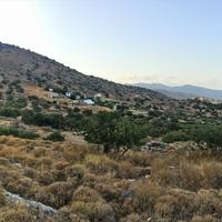 Land plot in Greece, 4200 sq.m.